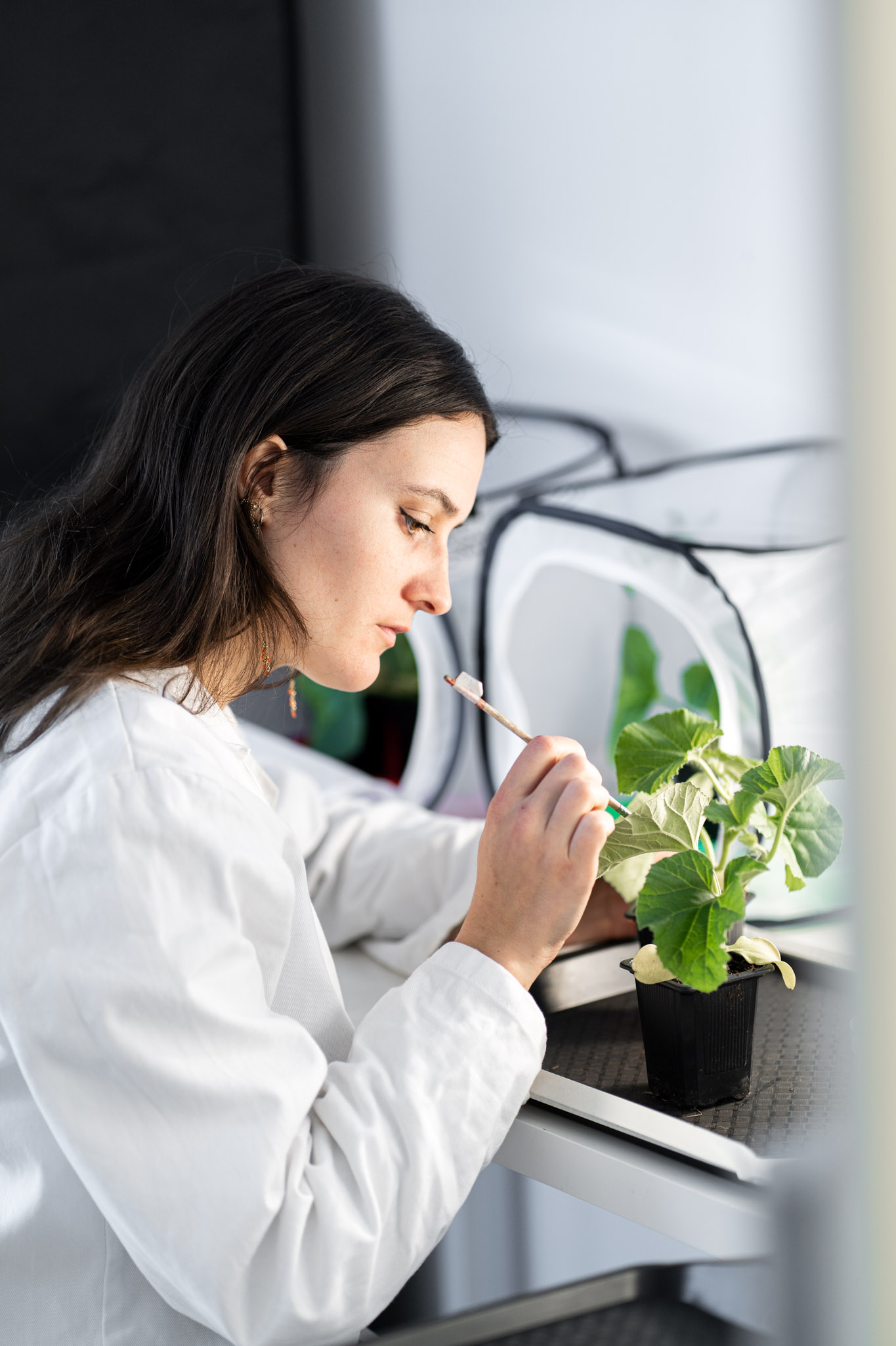 Recrutement: Technicien de recherche en entomologie F/H chez Agriodor à Rennes