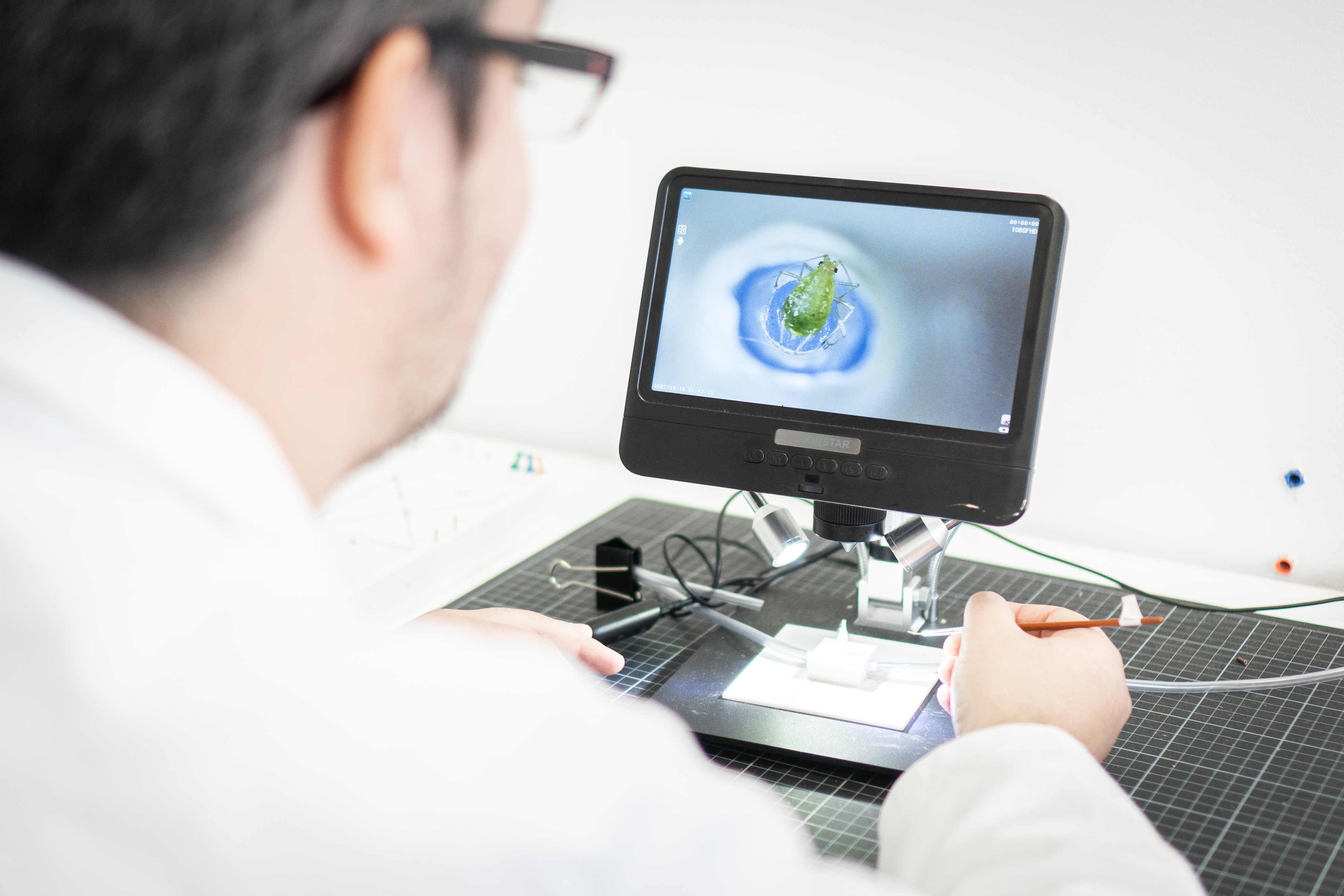 Recrutement: Ingénieur de Recherche en Comportement et Haut Débit F/H chez Agriodor à Rennes