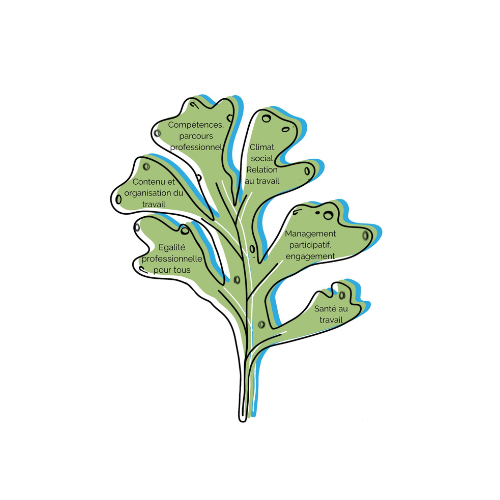 algues-des-valeurs-9.png