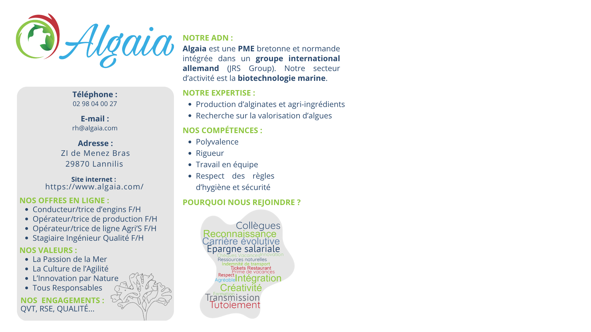 cv-algaia-2024-document-a4-6.png