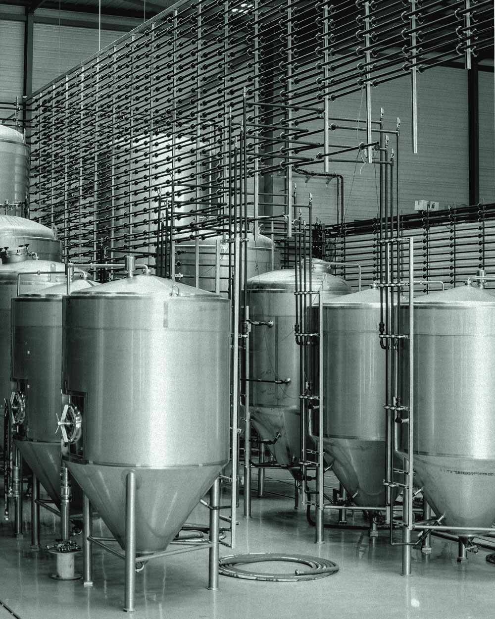 Recrutement: Conducteur de process de fabrication / brasseur F/H chez Biogroupe à Erquy