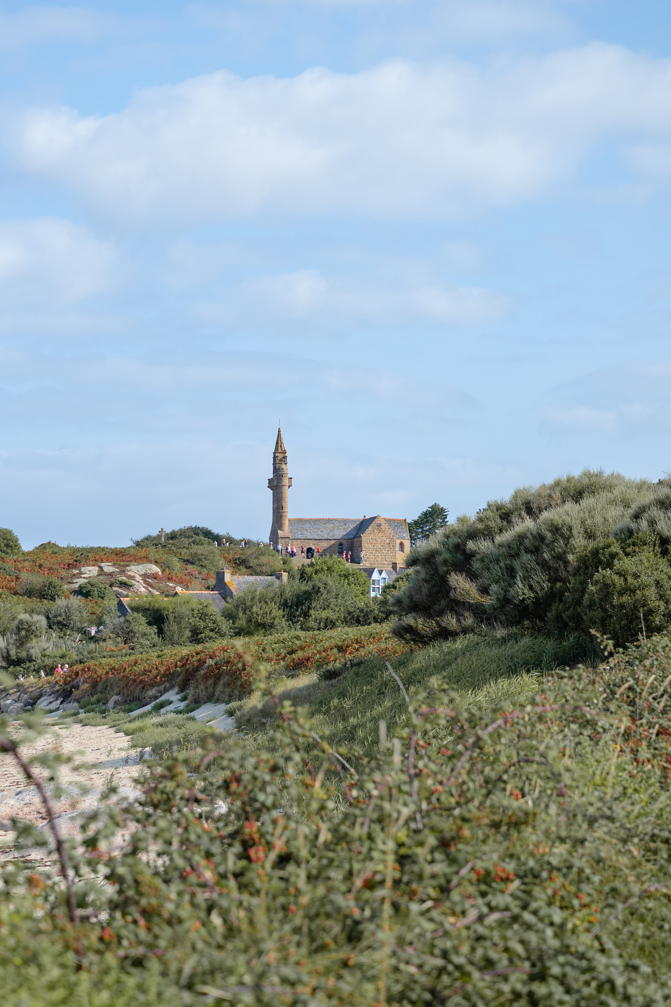 dsc5671.jpg