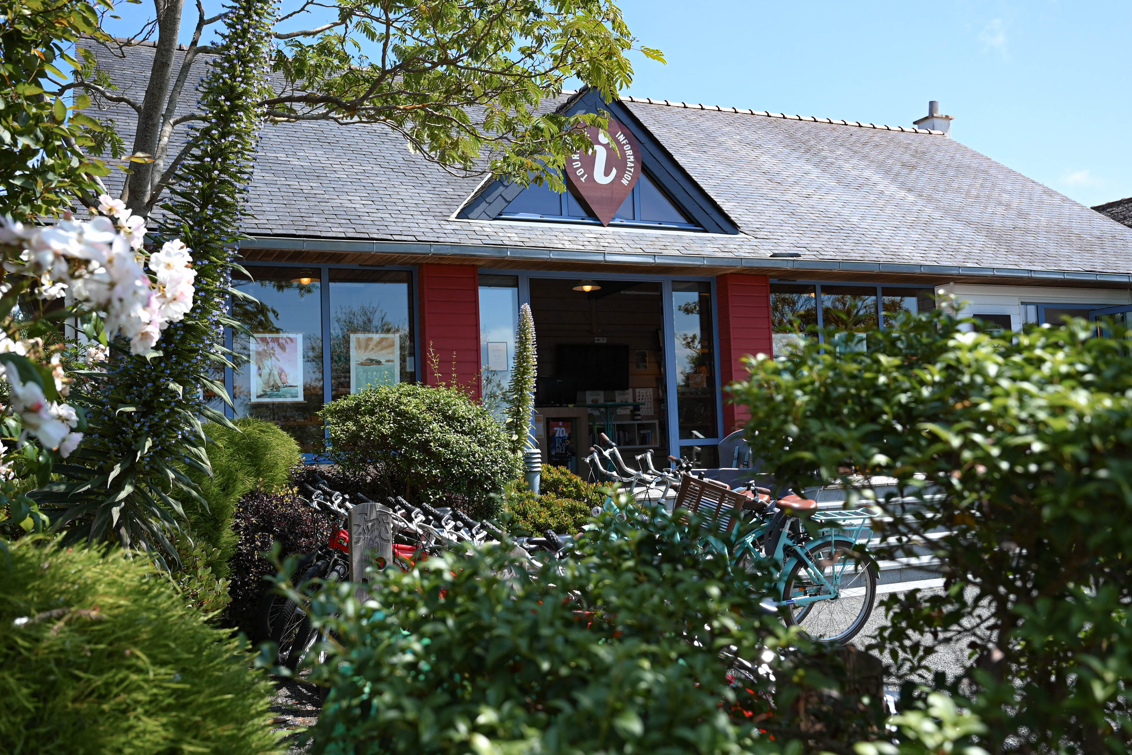 dsc8652.jpg