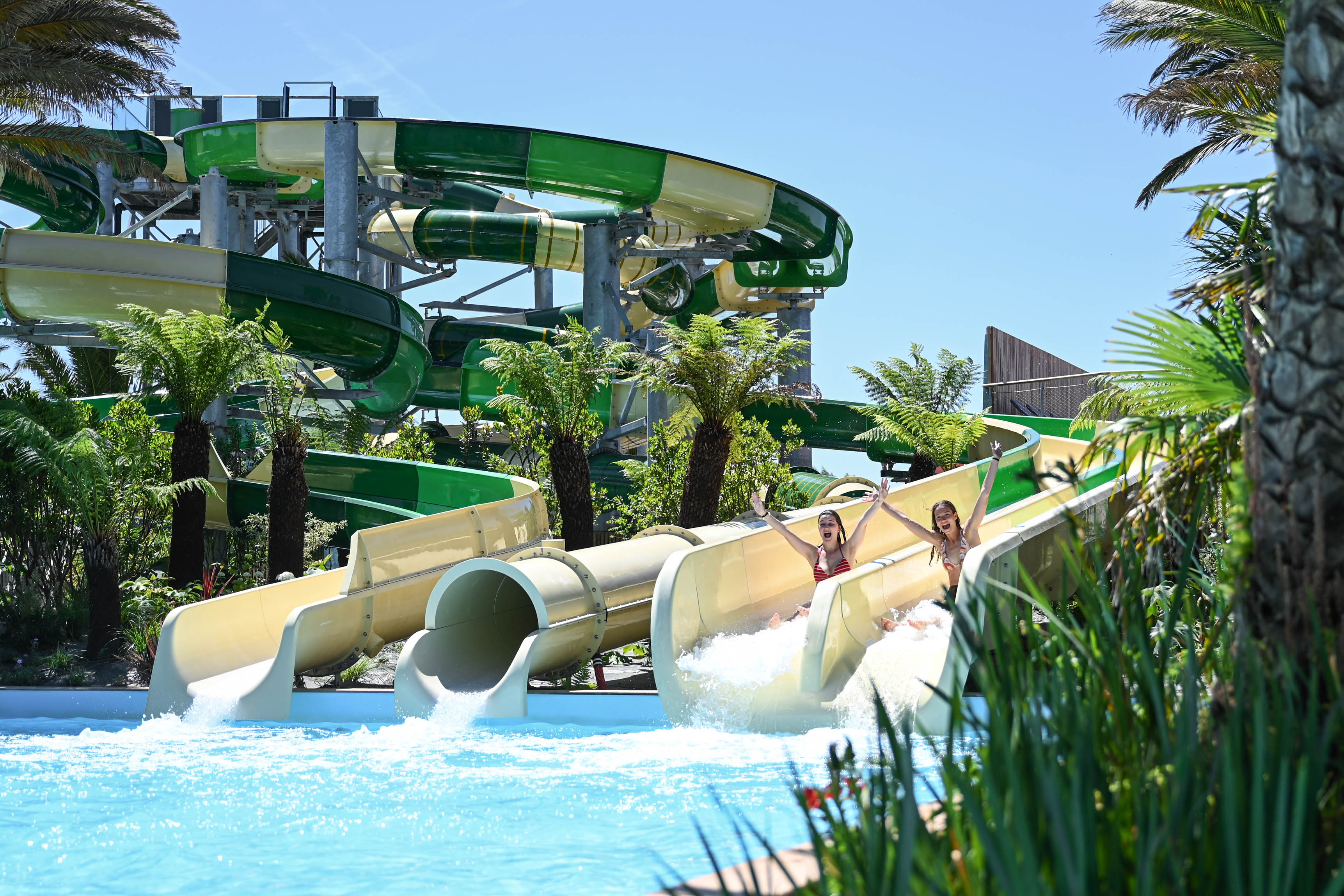dsc9656-2.jpg