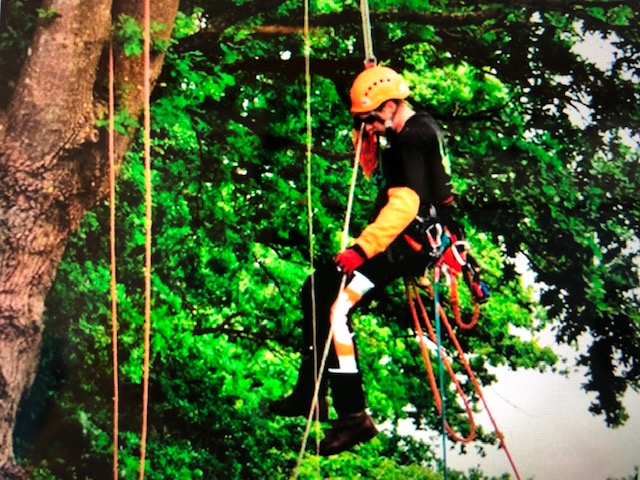 Recrutement: Arboriste Grimpeur F/H chez Co-Pilotes RH à Le Neufbourg