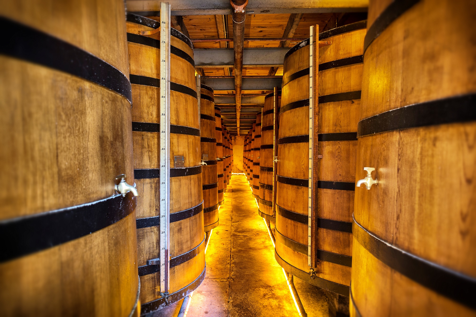 Recrutement: Maitre de Chai (H/F) chez Cognac Intérim à Saint-Bris-des-Bois