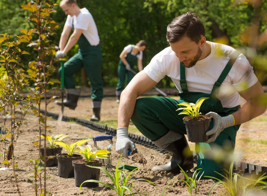 Recrutement: Ouvrier Paysagiste (H/F) chez Cognac Intérim à Val-de-Cognac
