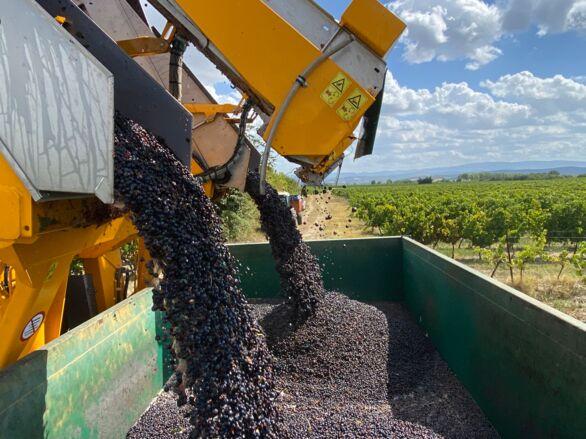 Recrutement: Chauffeur PL Polybenne – Vendanges (H/F) chez Cognac Intérim à Angeac-Champagne