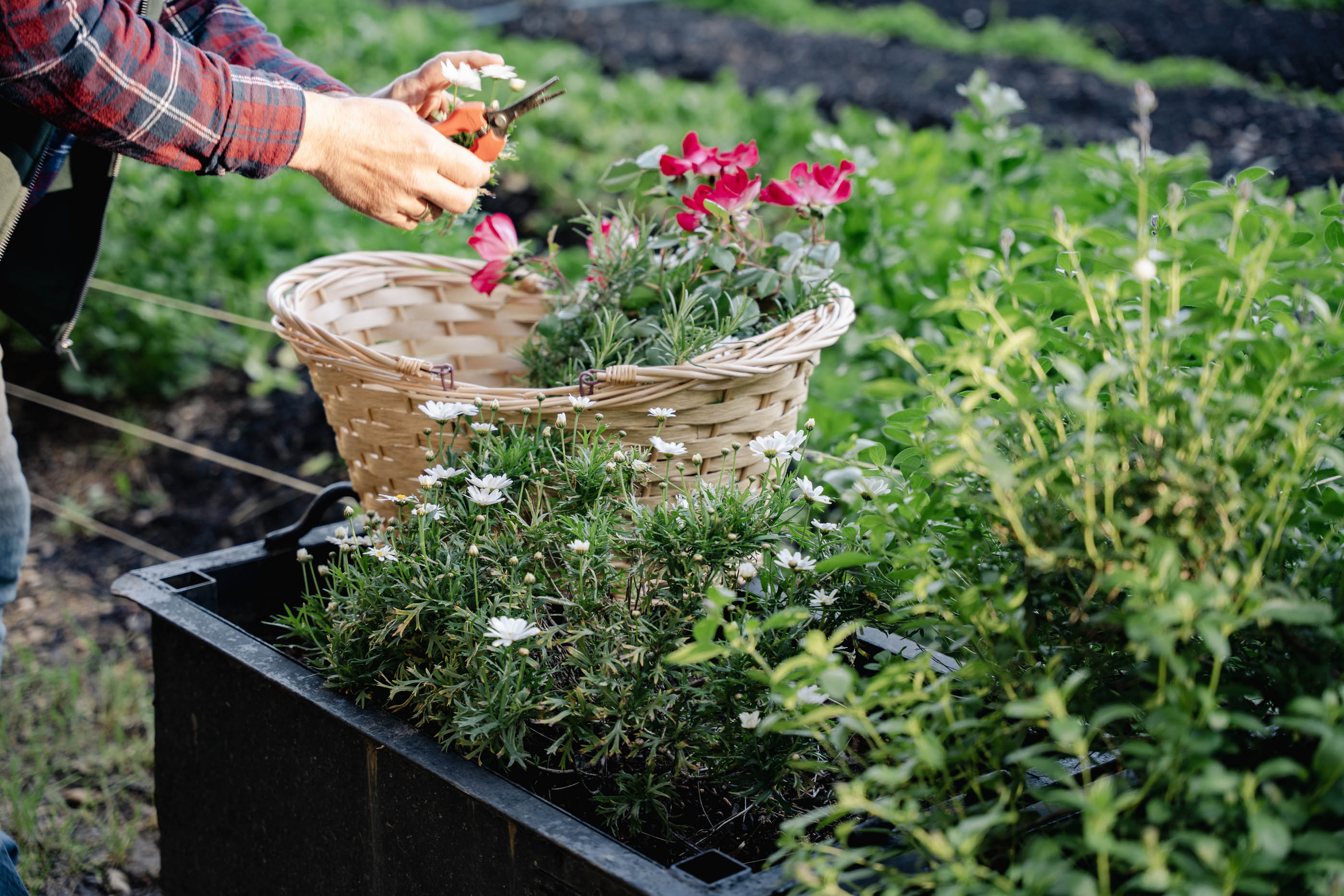 Recrutement: Agent Espaces Verts CDD de remplacement F/H chez Domaine et Demeure à Narbonne