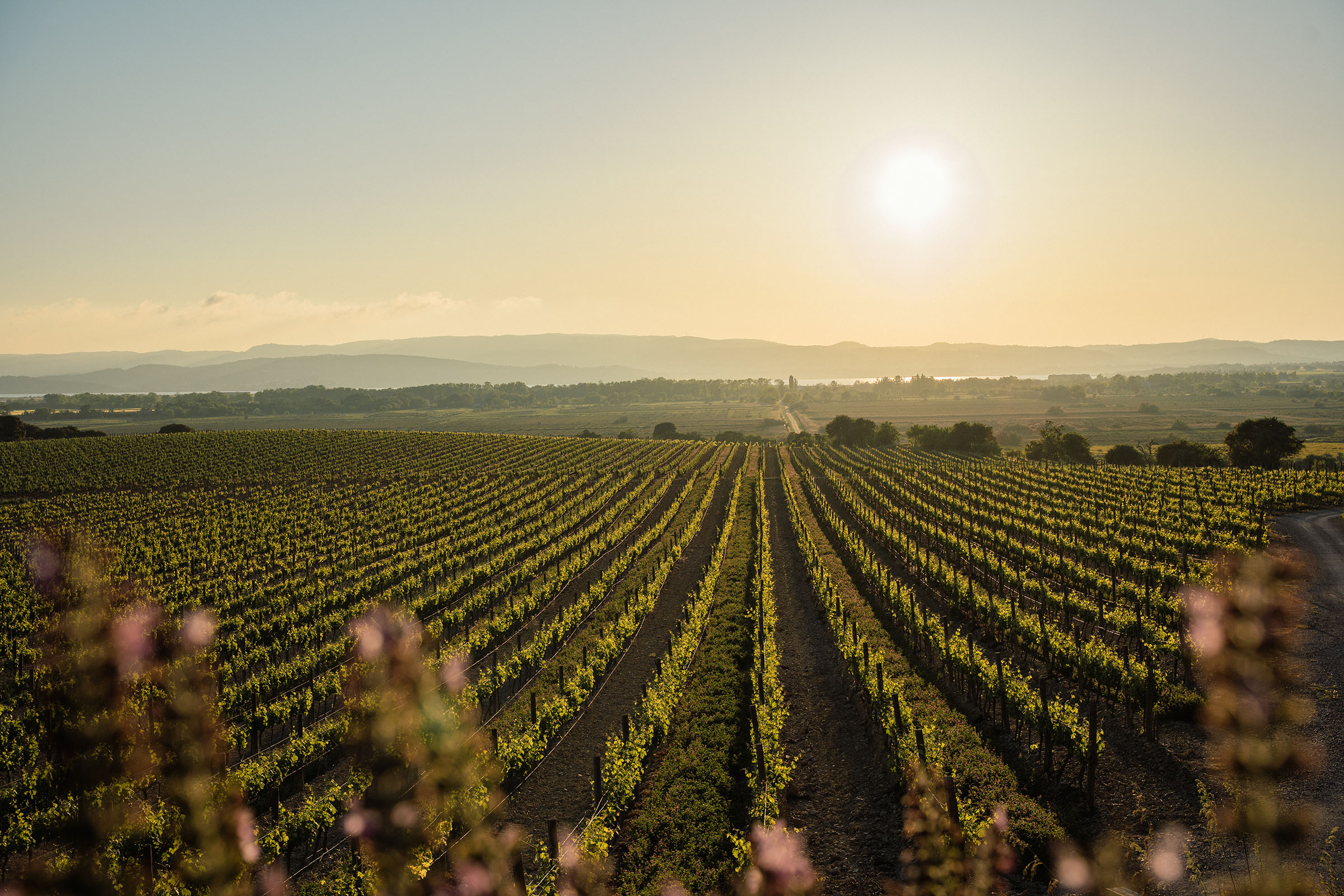 Recrutement: Assistant(e) RH/PAYE polyvalent(e) et passionné(e) F/H chez Domaine et Demeure à Béziers