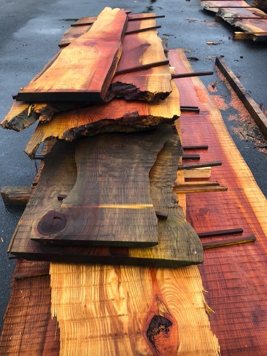 Recrutement: Scieur de bois F/H chez Emeraude RH à Trémorel