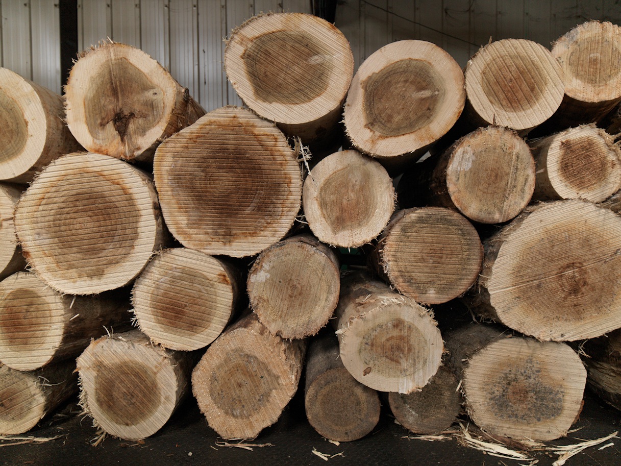 Recrutement: Responsable Ressources Humaines F/H chez Emeraude RH à Plancoët