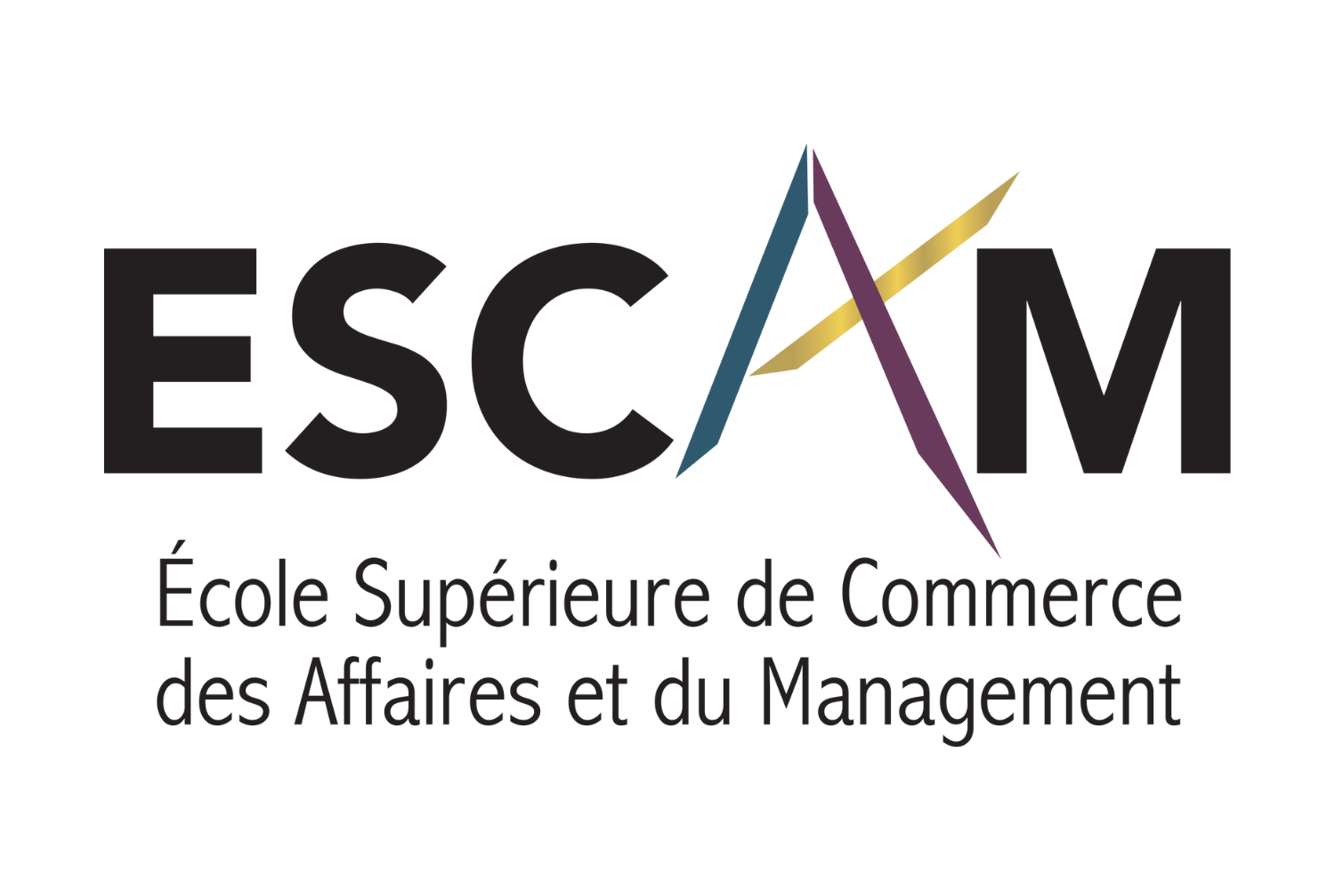Recrutement: Formateur en optimisation des processus administratifs F/H chez ESCAM à Brest