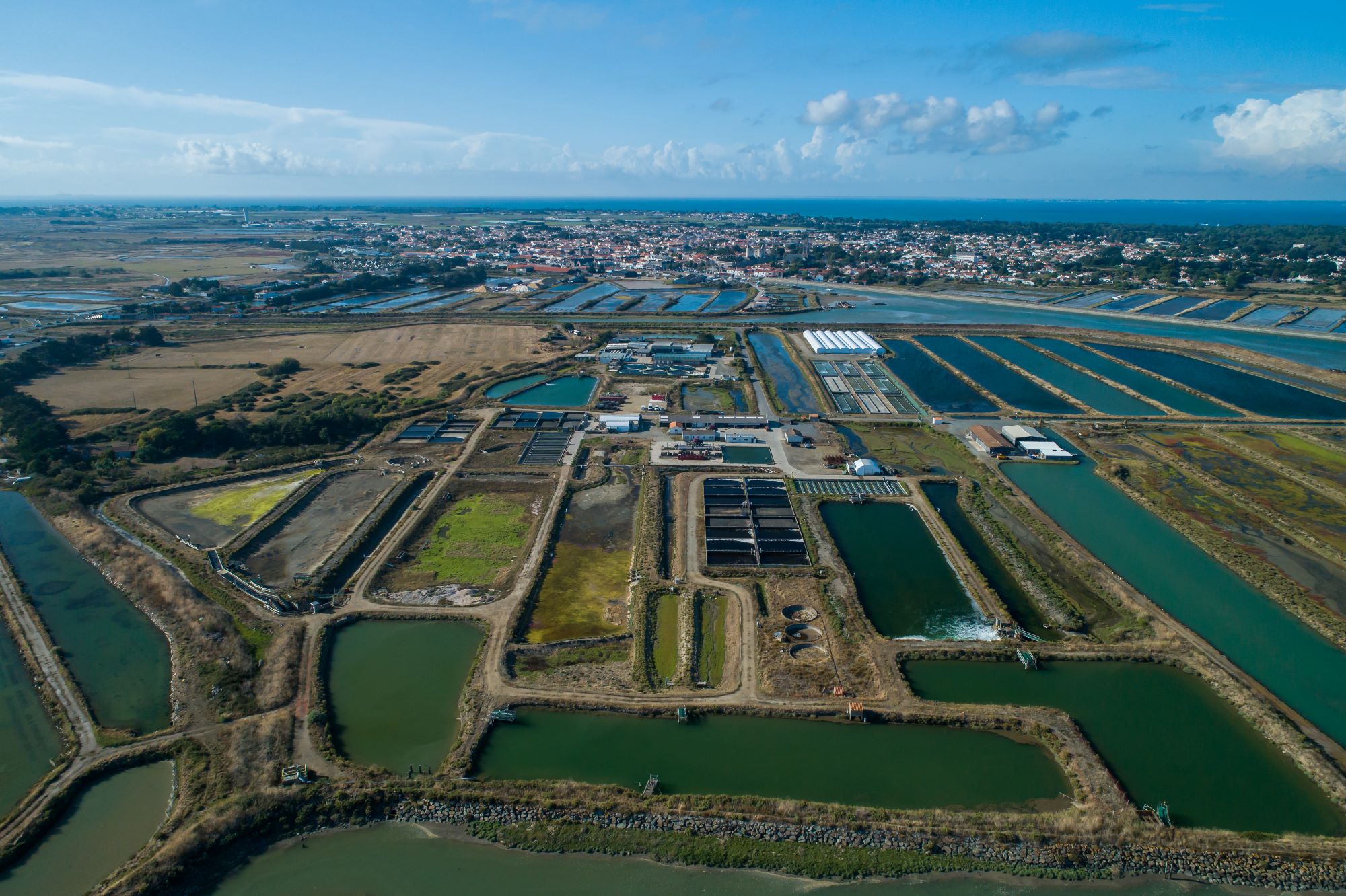 Recrutement: Technico-commercial Export F/H chez Marinove à L'Épine