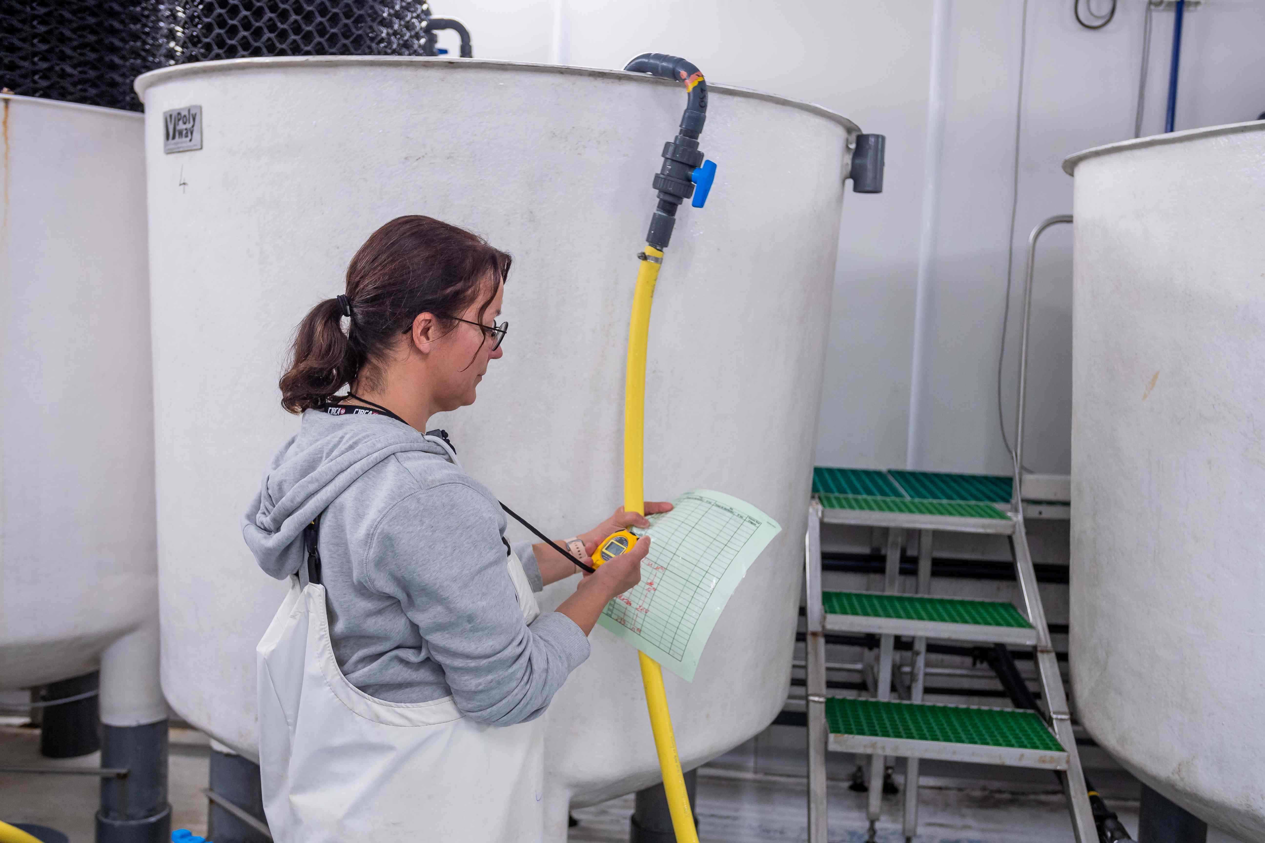 Recrutement: Ouvrier aquacole en écloserie de coquillages F/H chez Marinove à L'Épine