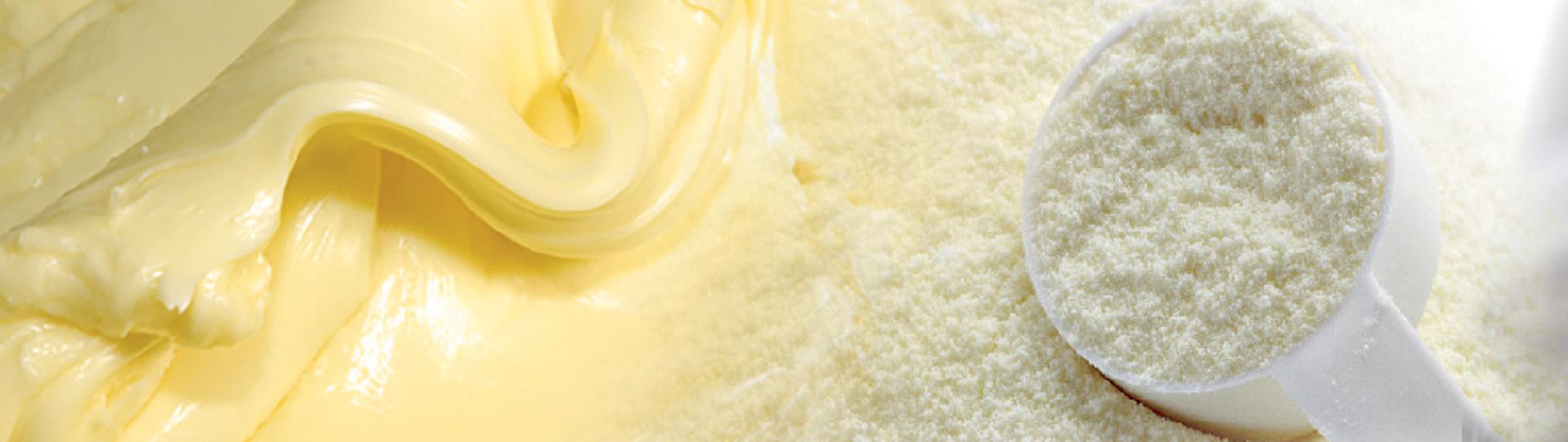 Candidature spontanée  Fit