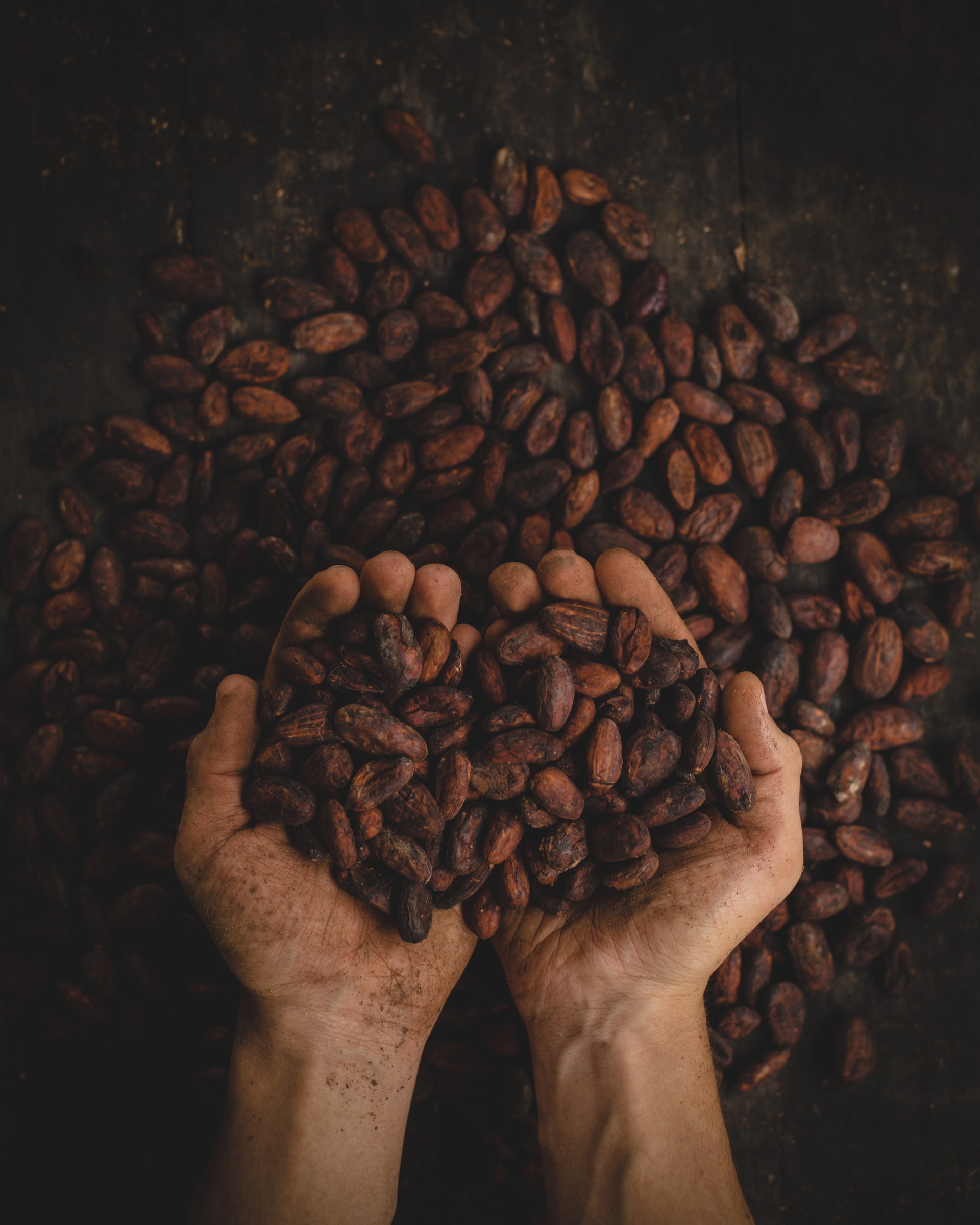 pablo-merchan-montes-scbq6ukcymy-unsplash.jpeg
