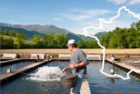 Recrutement: Gestionnaire de viviers H/F chez Général Emploi à Villars-les-Dombes