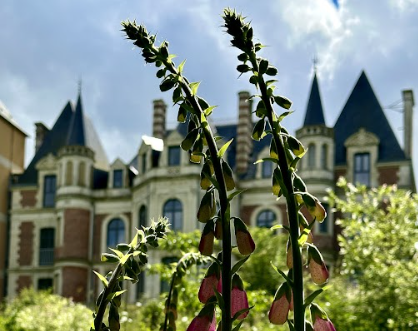 chateau---parc-fleurs.png
