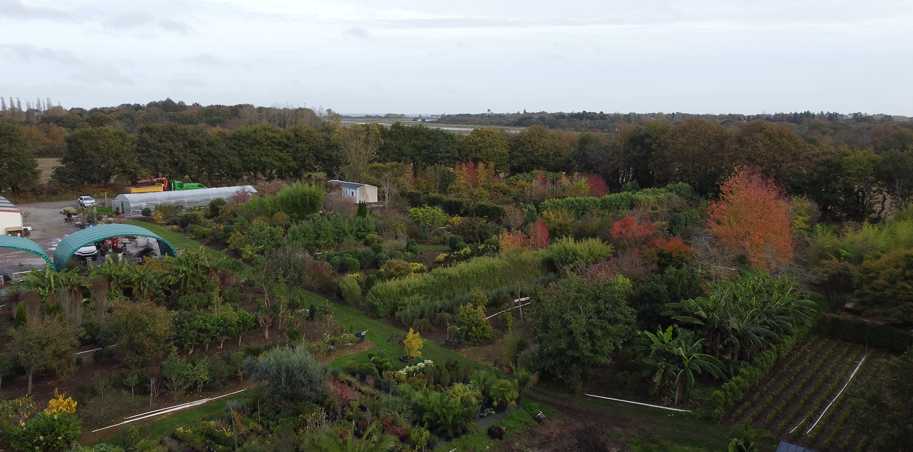 Recrutement: Ouvrier horticole en pépinière pleine Terre F/H chez GROUPE KERNE à Pluguffan