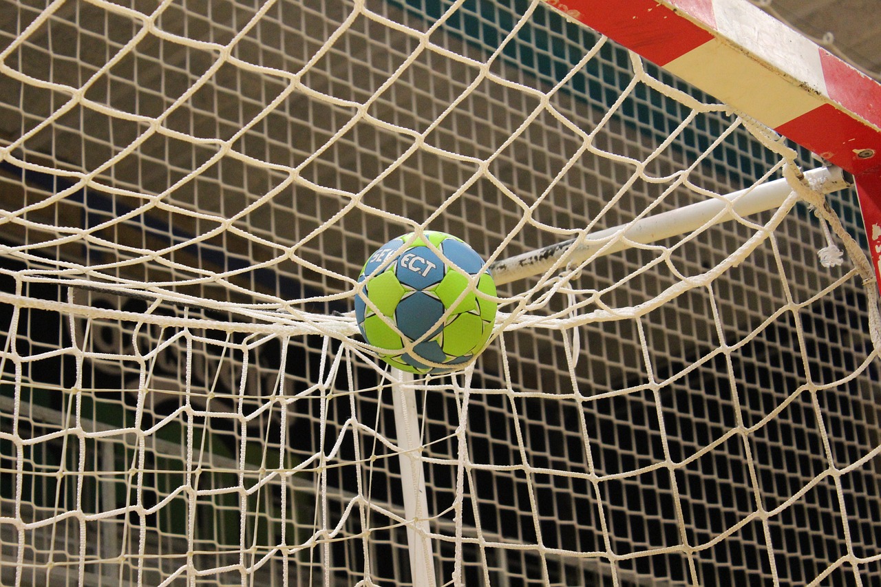 Recrutement: Directeur Sportif (Handball) F/H chez Groupe PSL à Haute-Saône