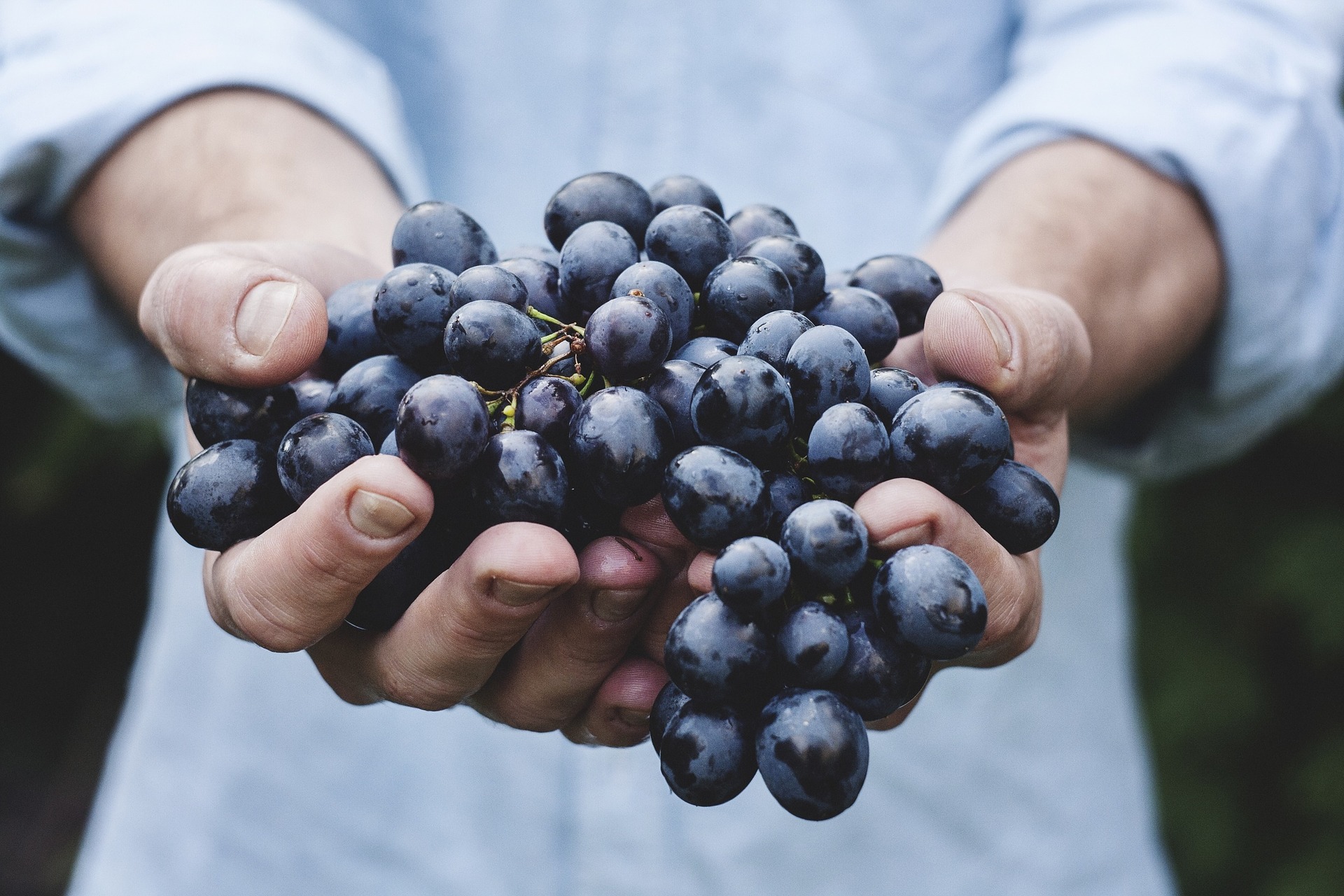 Recrutement: Ouvrier.e de chai F/H chez Groupement d'Employeurs 4 Saisons à Gondrin