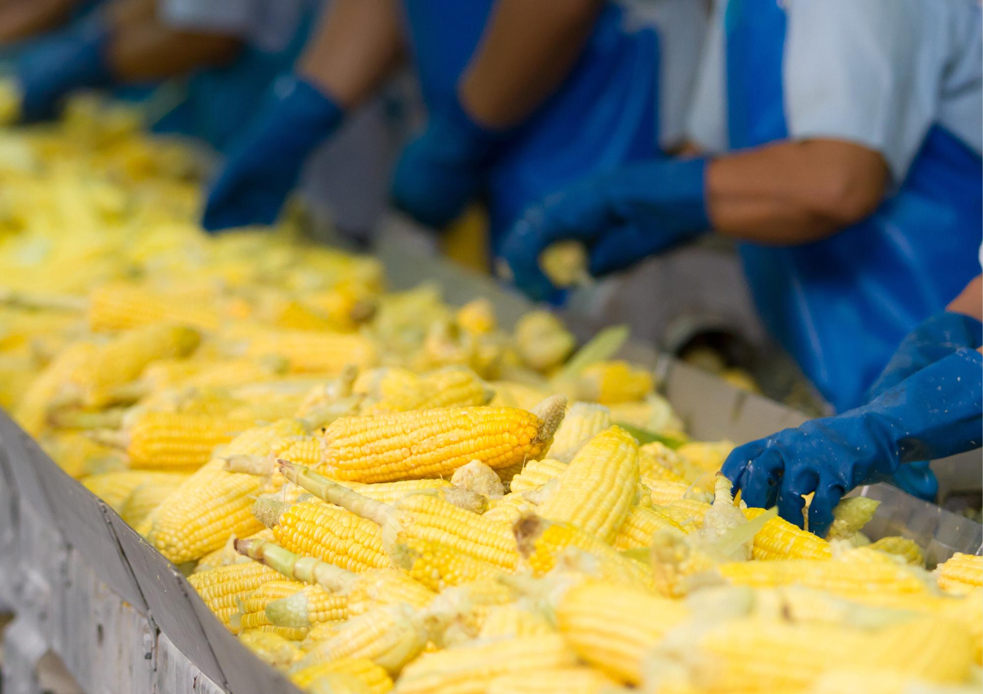 Recrutement: Agent de Tri — L'œil qui ne trompe jamais F/H chez Happy Job à Samazan