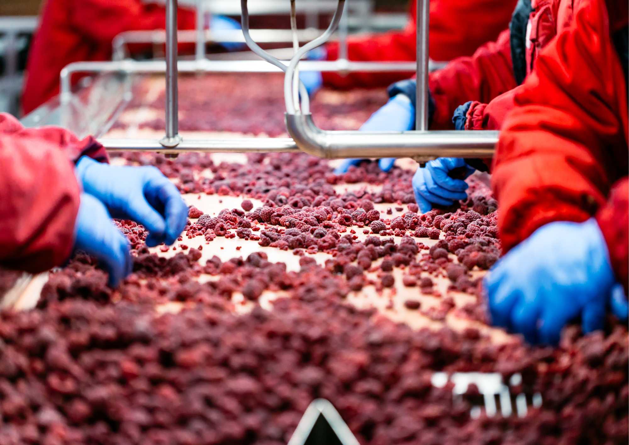 Recrutement: Opérateur de Tri et Conditionnement F/H chez Happy Job à Tonneins