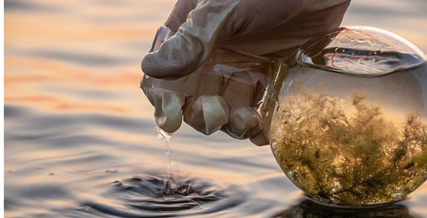 Recrutement: Technicien de laboratoire F/H chez Hydac à FORBACH