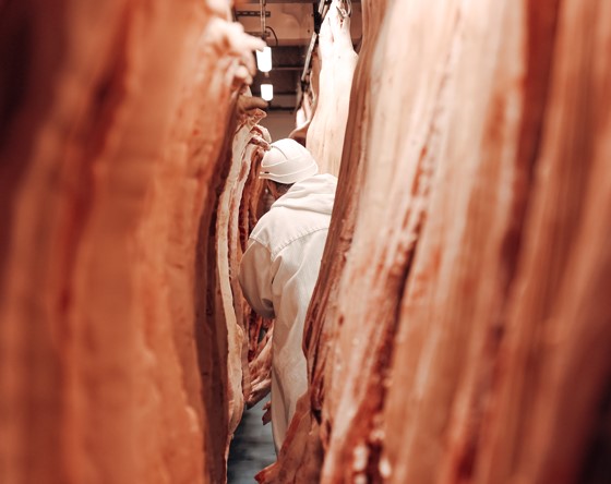 Recrutement: Boucher F/H chez JEAN HENAFF à Pouldreuzic