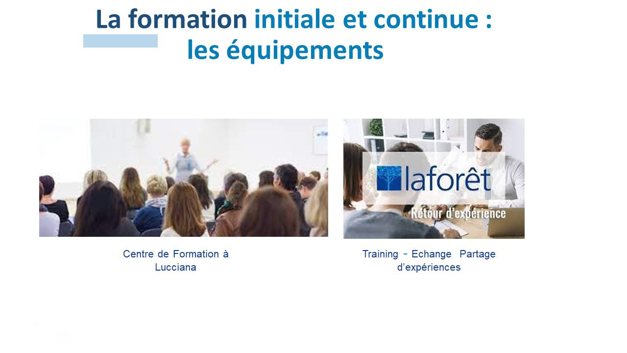 Formation immobilier