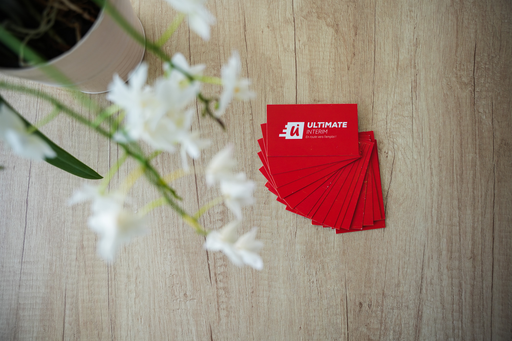 Commis de cuisine - Rennes F/H
