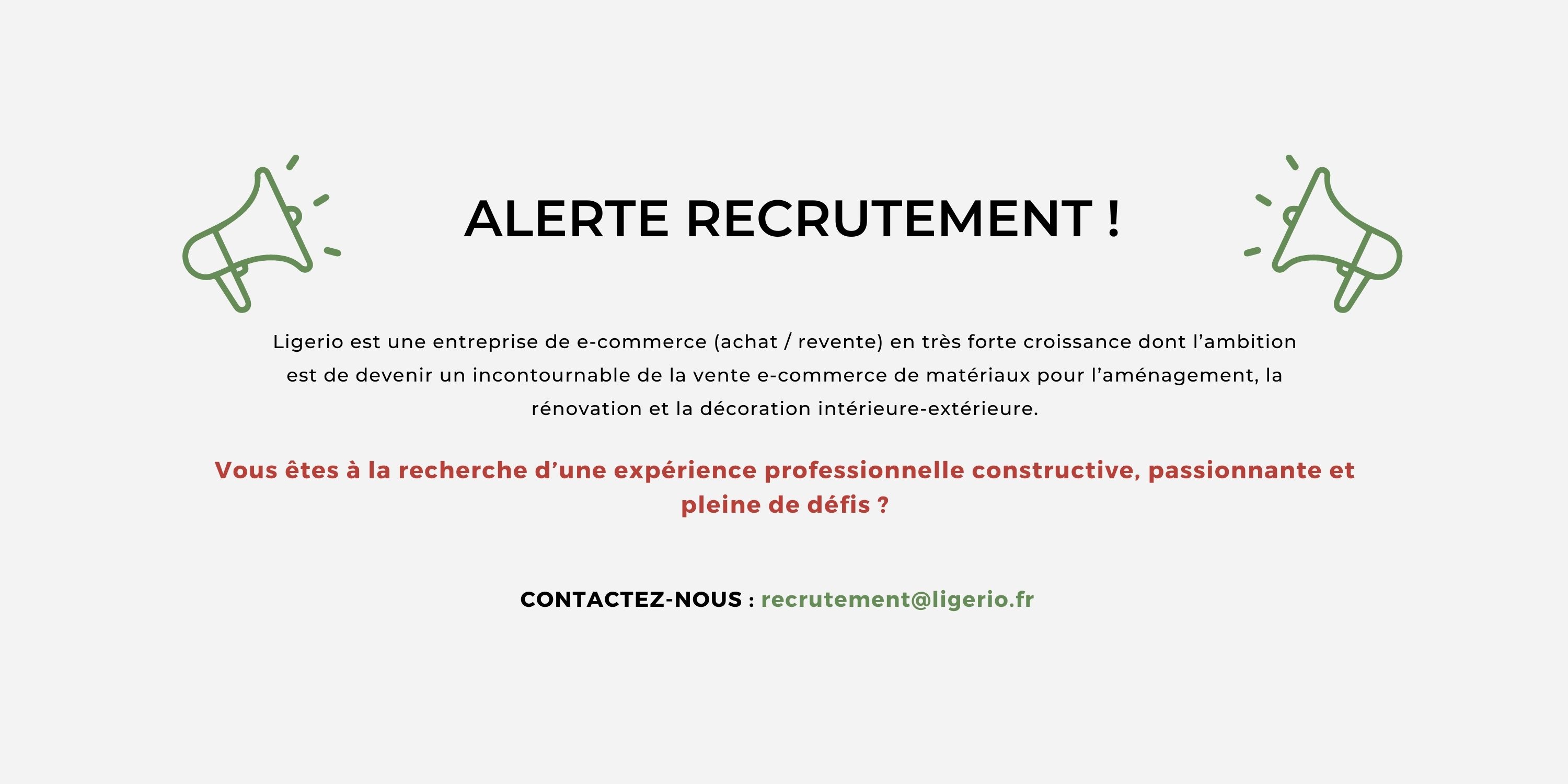 ligerio-recrute-3.jpg