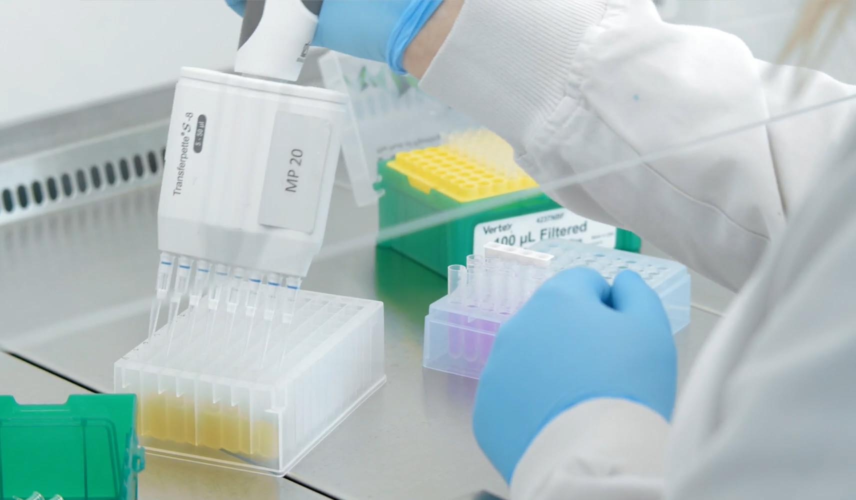 Recrutement: Coordinateur Qualité F/H chez MerAlliance à Quimper