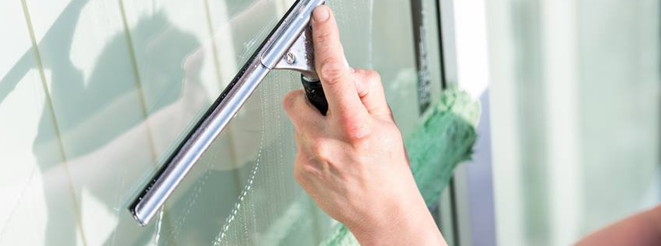 Recrutement: Chef d'équipe F/H chez Neonet à Notre-Dame-d'Oé