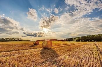 Recrutement: Ouvrier Agricole Polyvalent H/F chez Norman à TERRE DE CAUX