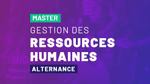 Offre d'emploi