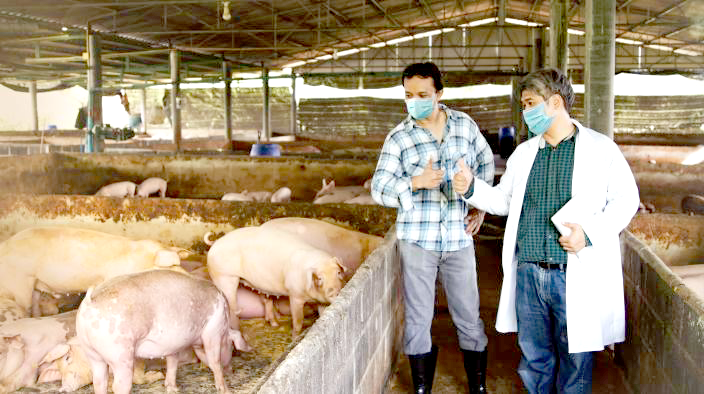 Recrutement: Ouvrier agricole porcin polyvalent F/H chez PLACIDOM Réunion à Saint-Benoît