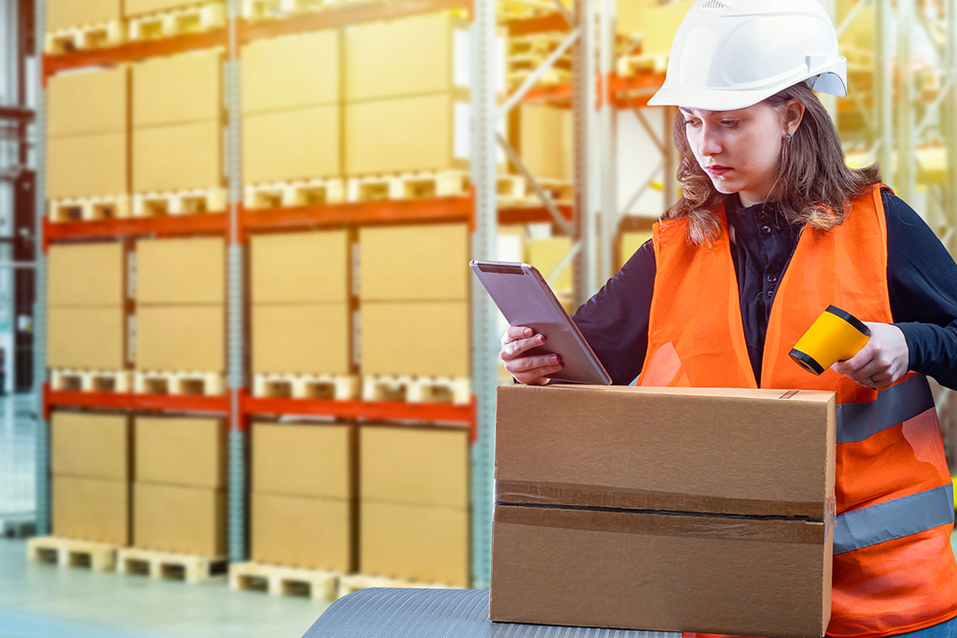 DECLARANT EN DOUANE F/H - Travail temporaire 3 mois à Saint-Denis ...