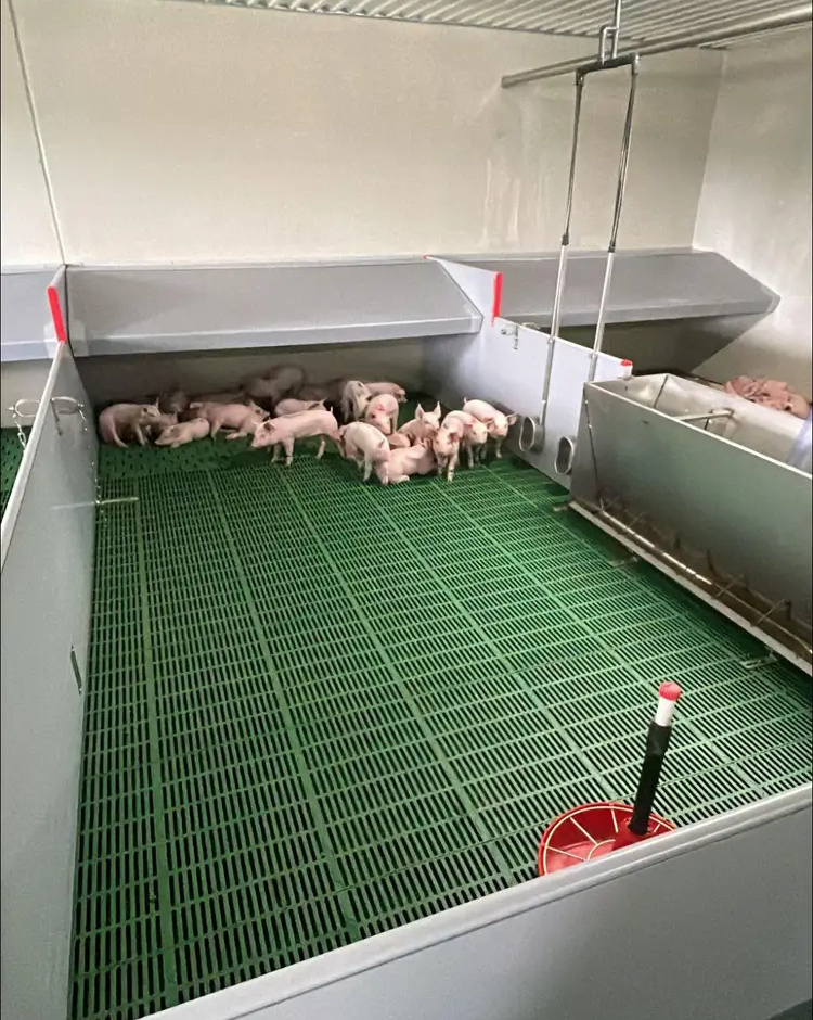 Recrutement: Salarié(e) d’entretien-maintenance agricole H/F chez Porc Armor Evolution à Pleyben