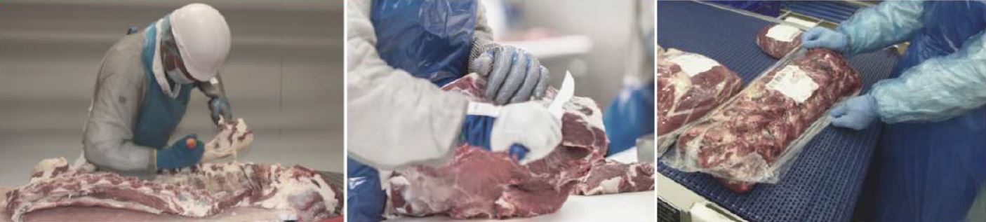 Recrutement: Pareur Bœuf F/H chez Presta Breizh à Le Mené