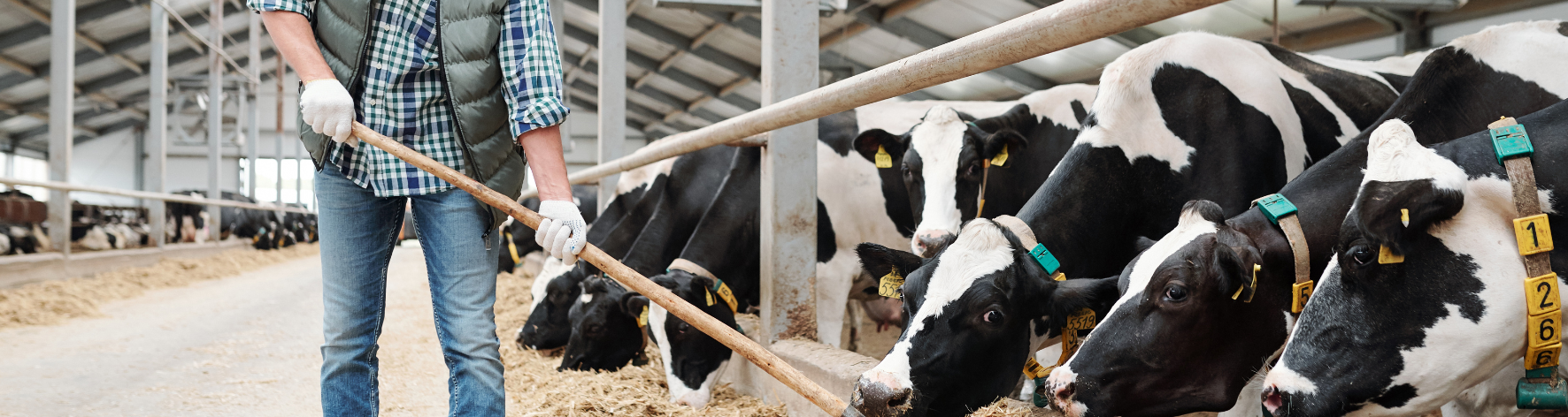 Recrutement: Vacher-ère en temps plein F/H chez SDAEC-TERRALLIANCE à Guerlesquin