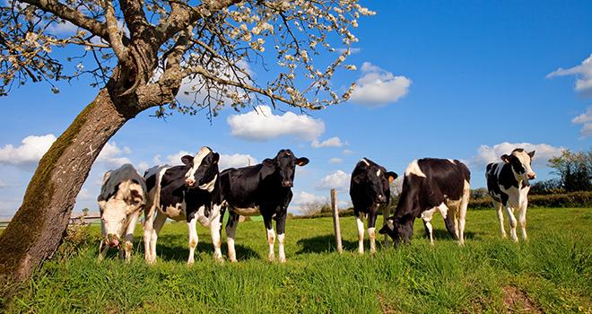 Recrutement: Salarié-e agricole en production laitière F/H chez SDAEC-TERRALLIANCE à Bain-de-Bretagne