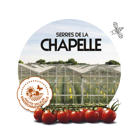 Serre en verre pour la production de tomate avec label Haute valeur environnementale
