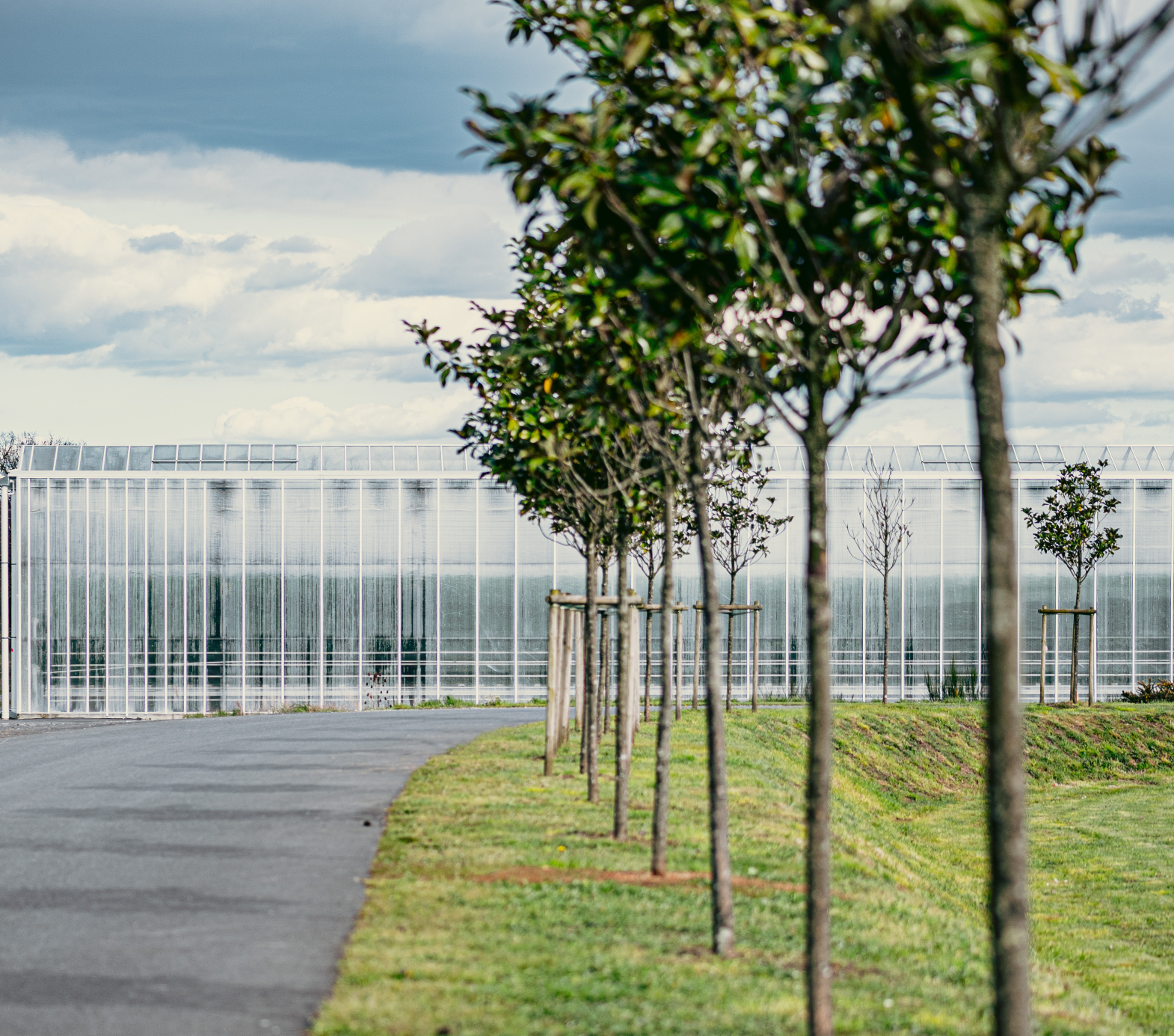 Recrutement: Chef d'équipe en serre F/H chez Serres de la Piogerie à Saint-Léger-les-Vignes