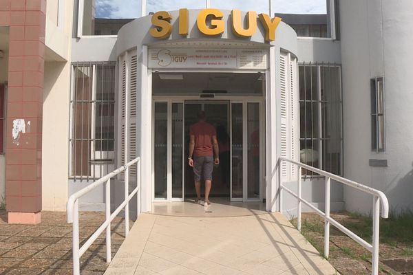 siguy.jpg