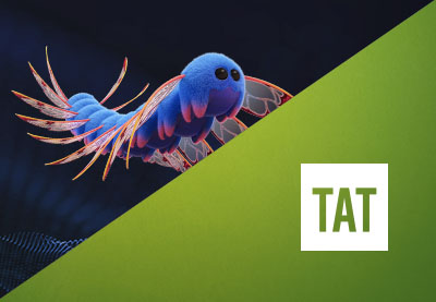 Offre d'emploi