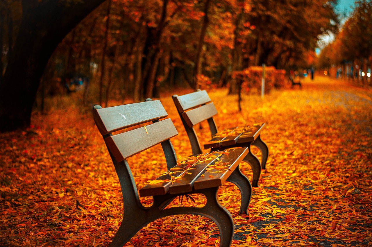benches-5604351280.jpg