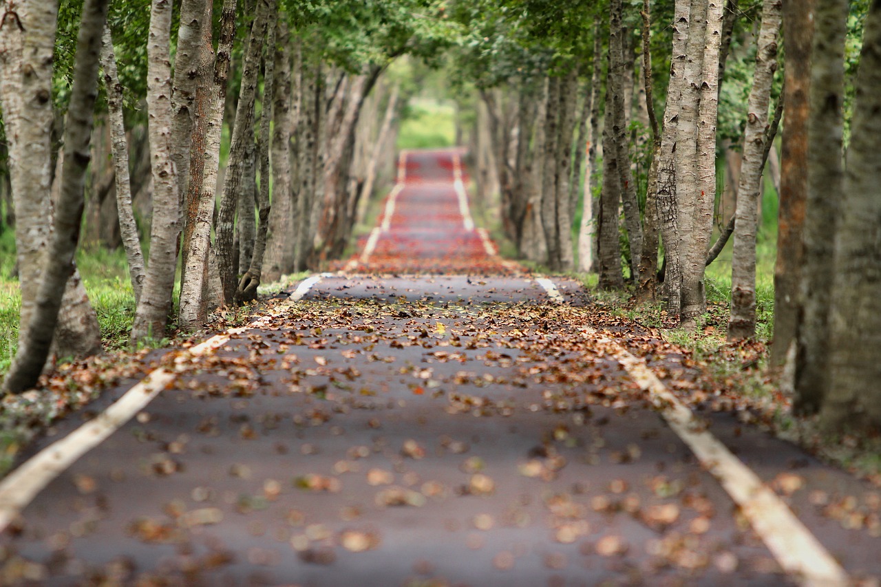 avenue-6569691280.jpg