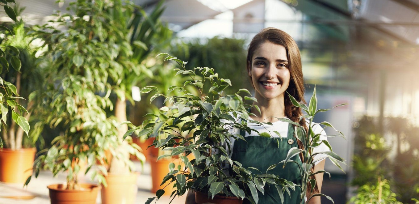 villaverdeaccueil.jpg